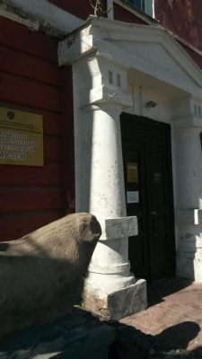  El Museo de Historia Local de Barnaul: Un viaje fascinante a través del pasado siberiano