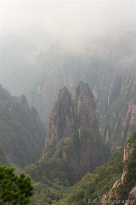 ¡Sumérgete en la magia del Bosque de Abedules en Huangshan!